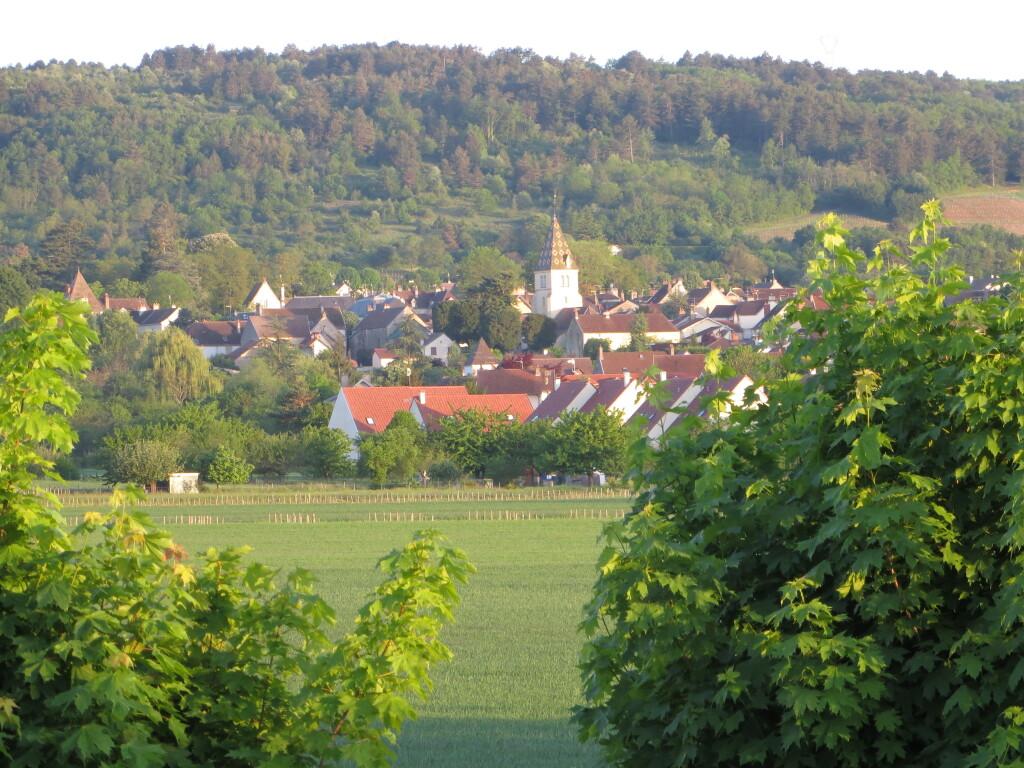 hotel image 17