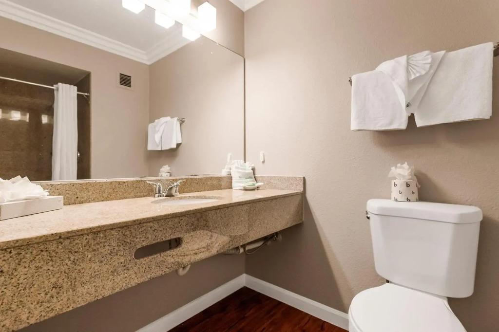 hotel image 15
