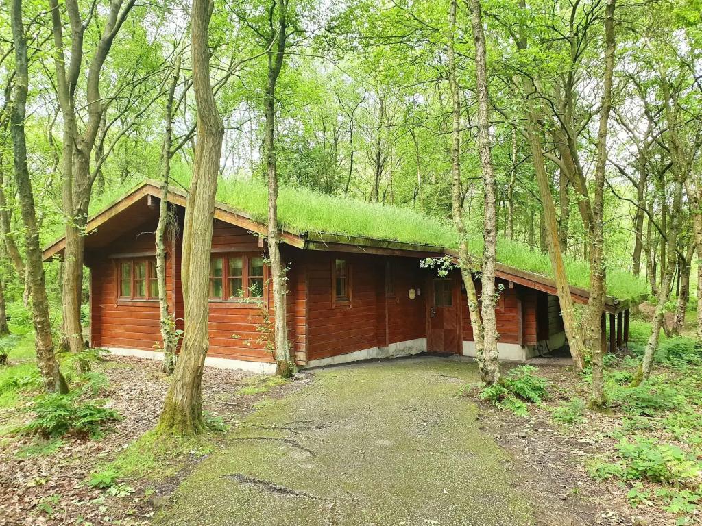 hotel image 29