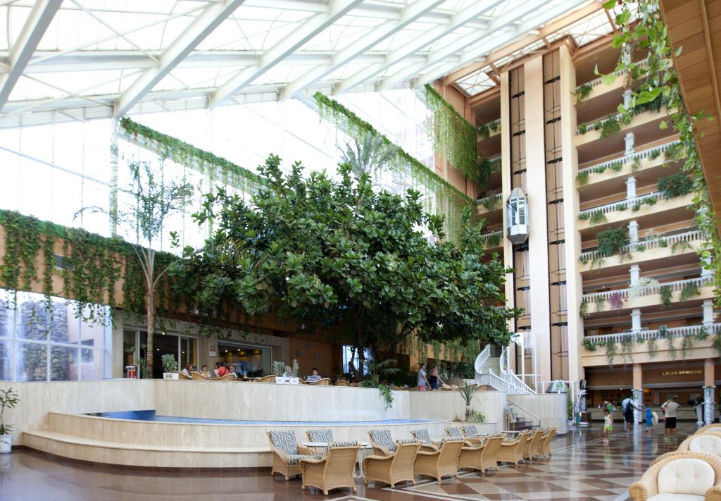 hotel image 21