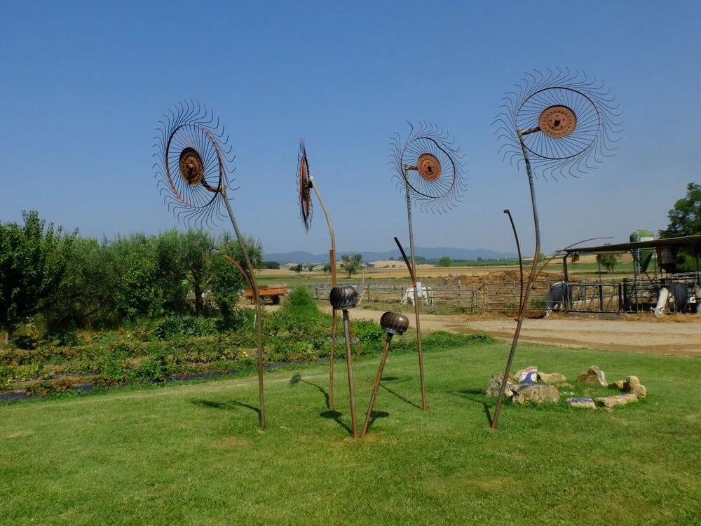 hotel image 24