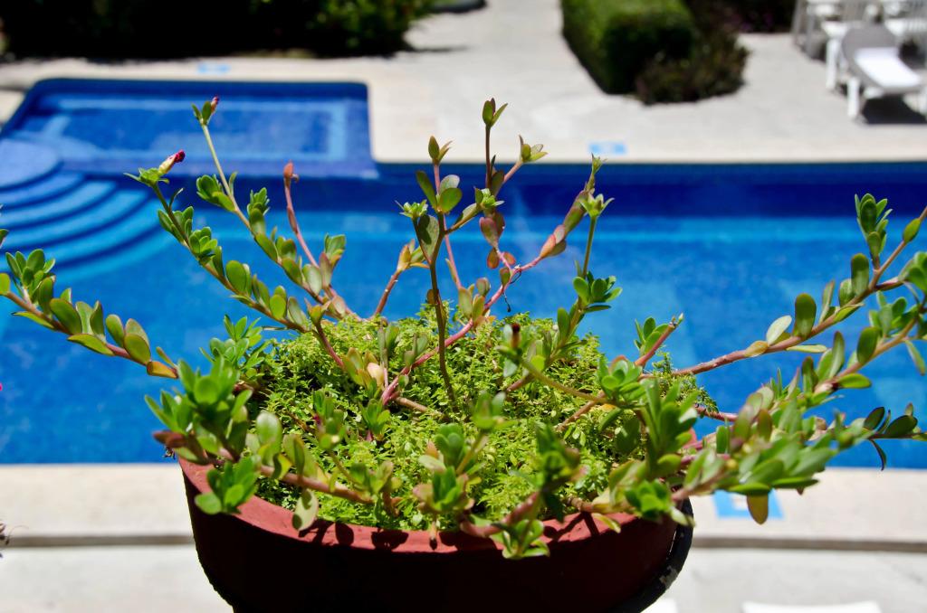 hotel image 24