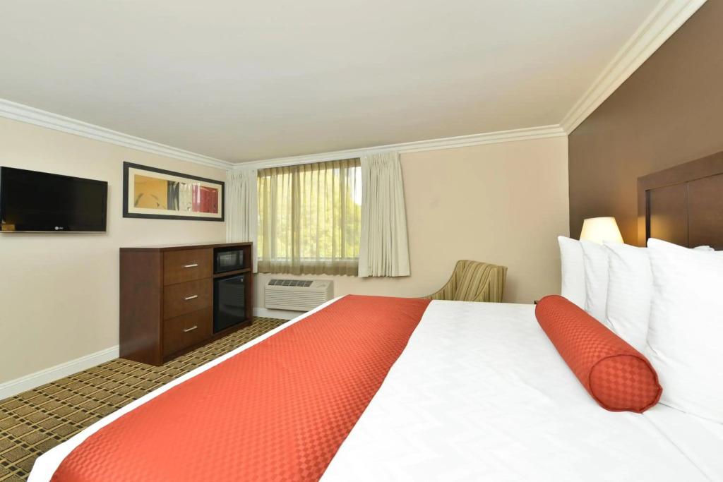 hotel image 18