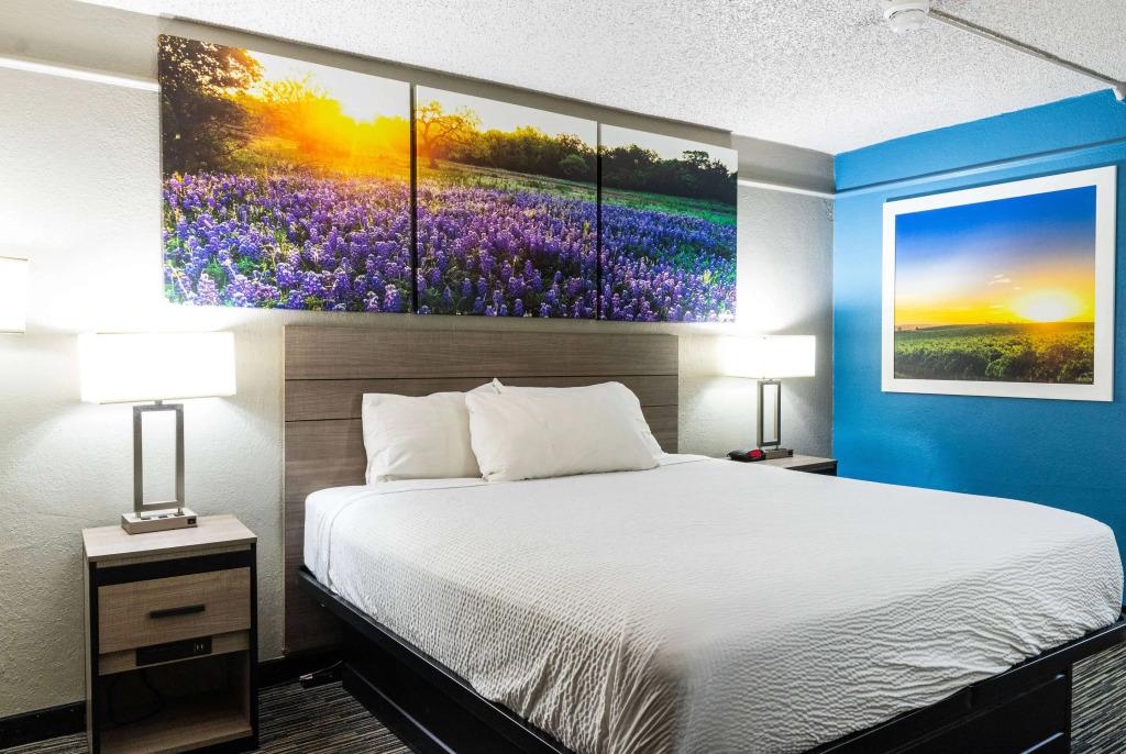 hotel image 14
