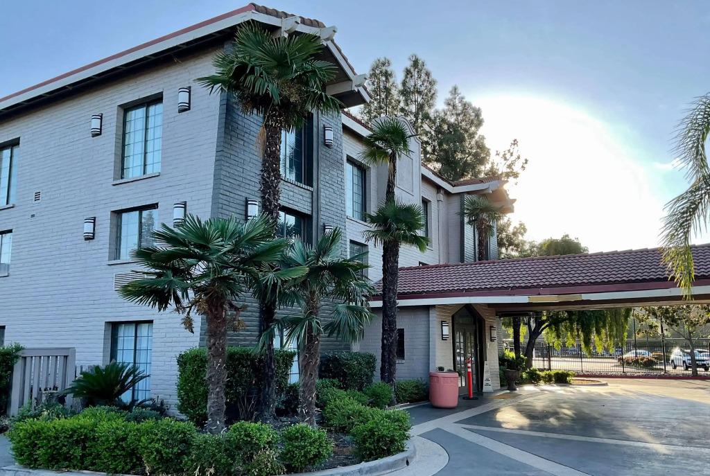 hotel image 8