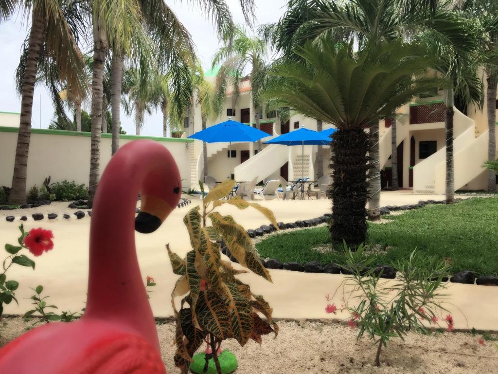 hotel image 17
