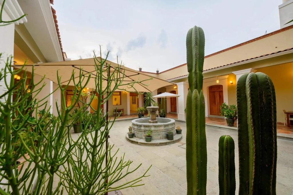 hotel image 17