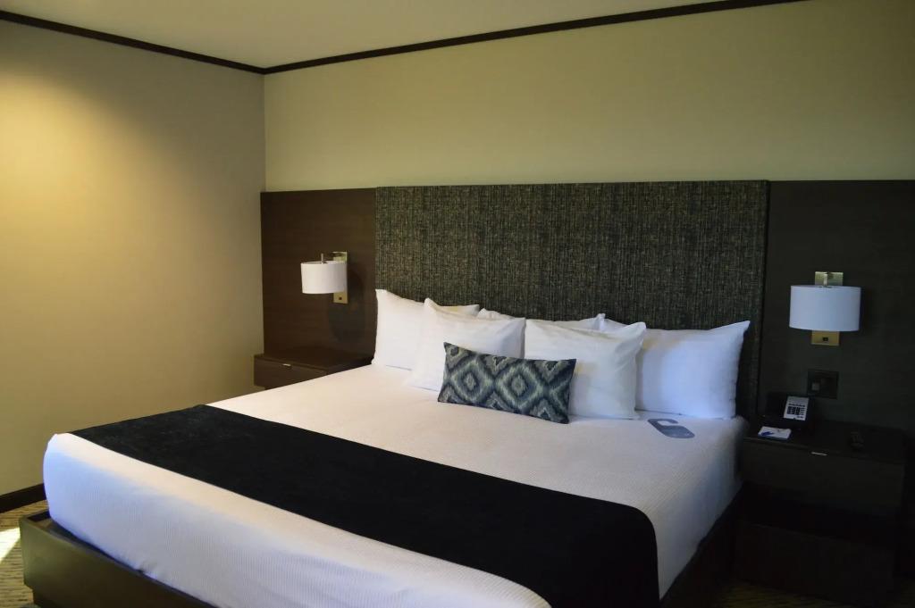 hotel image 48