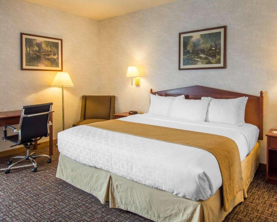 hotel image 19