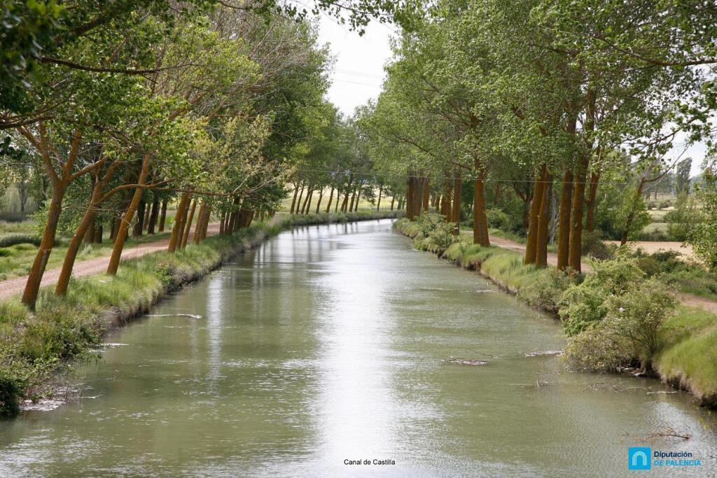 hotel image 27