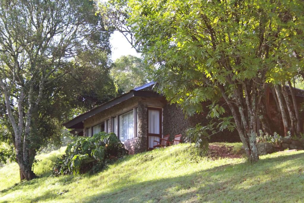 hotel image 40