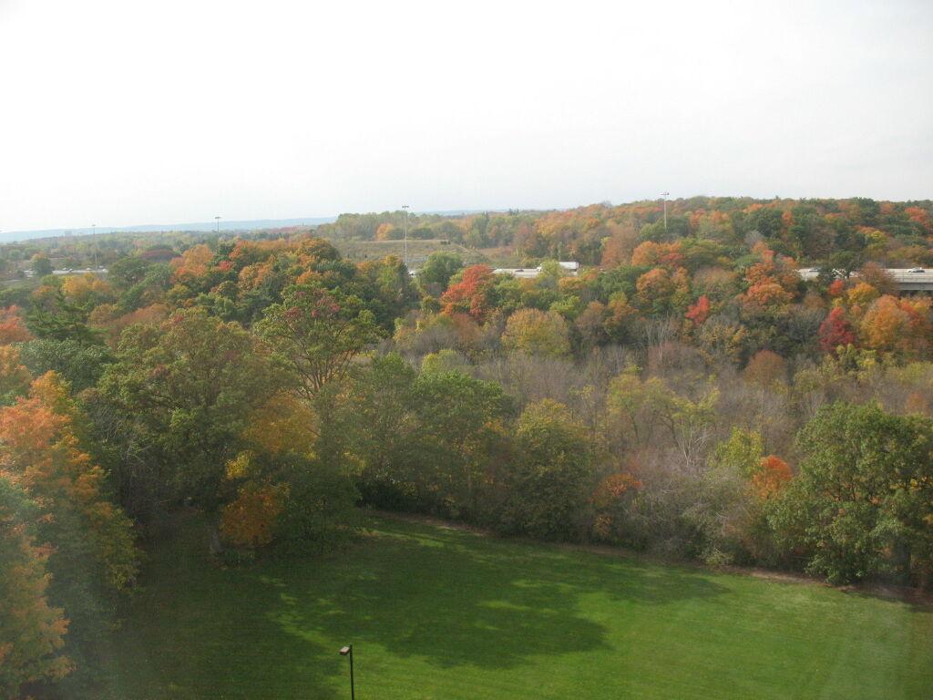 hotel image 49