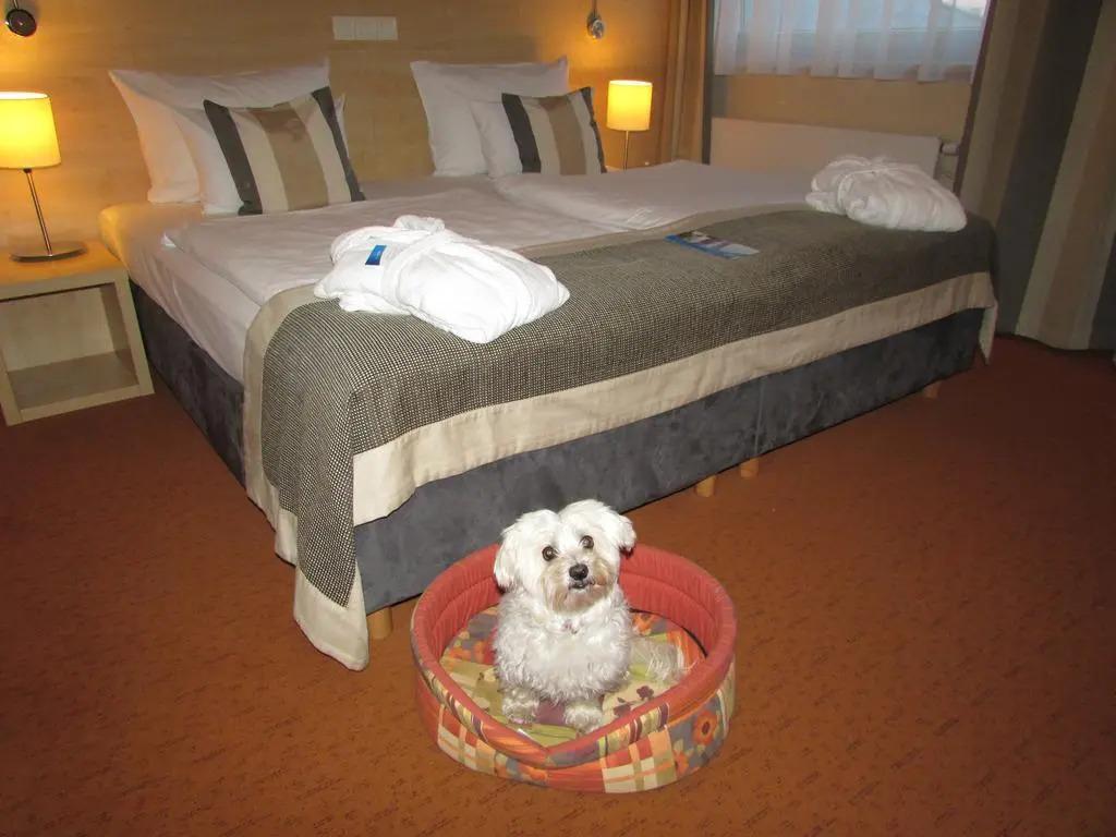 hotel image 26