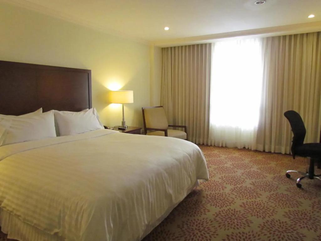 hotel image 36