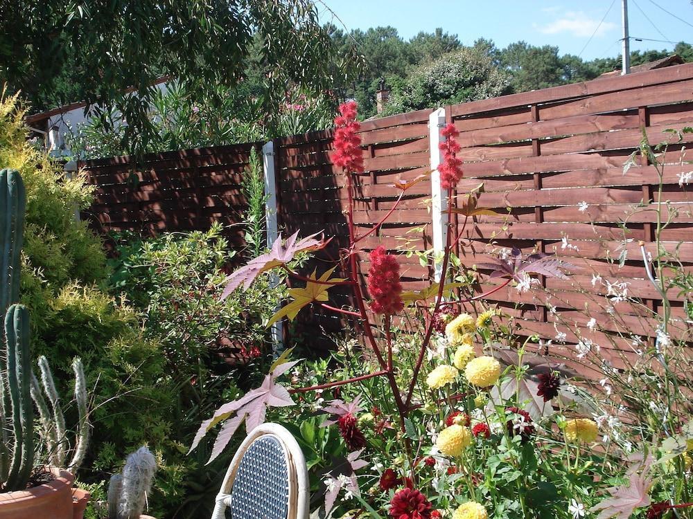 hotel image 13