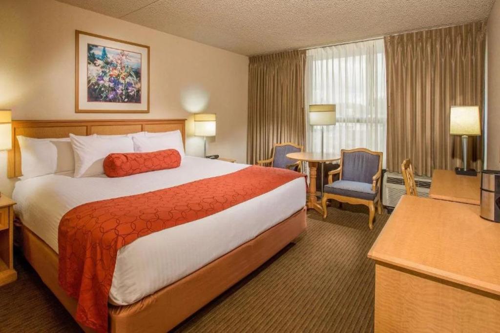 hotel image 24