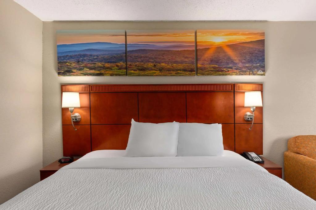 hotel image 16