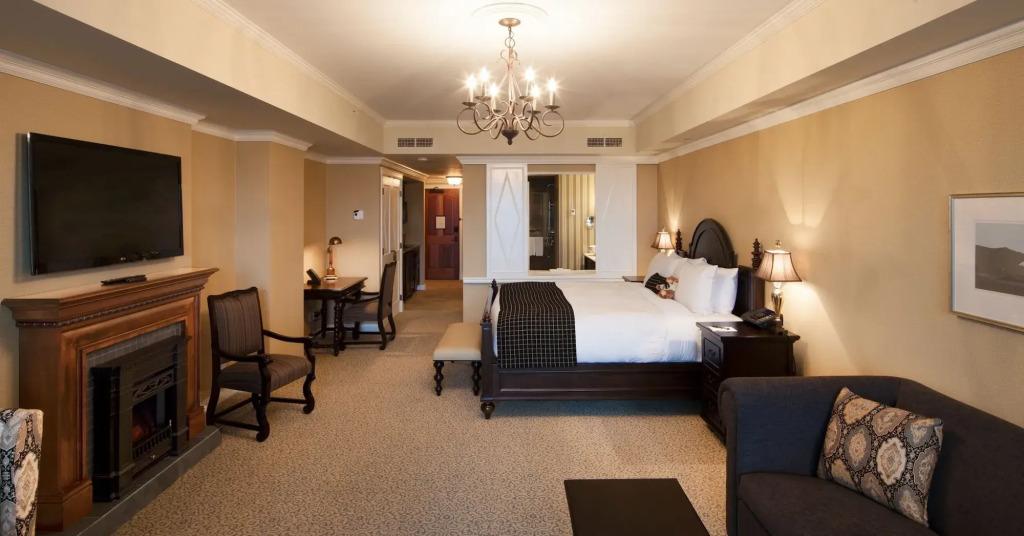hotel image 19
