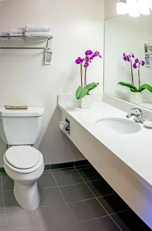 hotel image 16