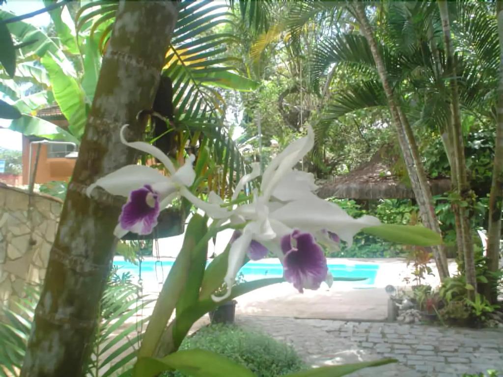 hotel image 20