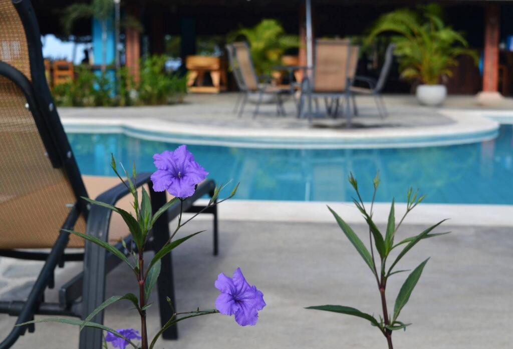 hotel image 19