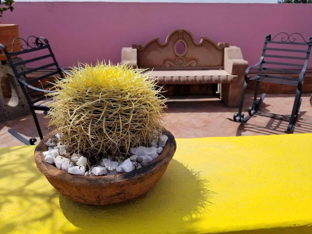hotel image 57