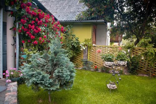 hotel image 9