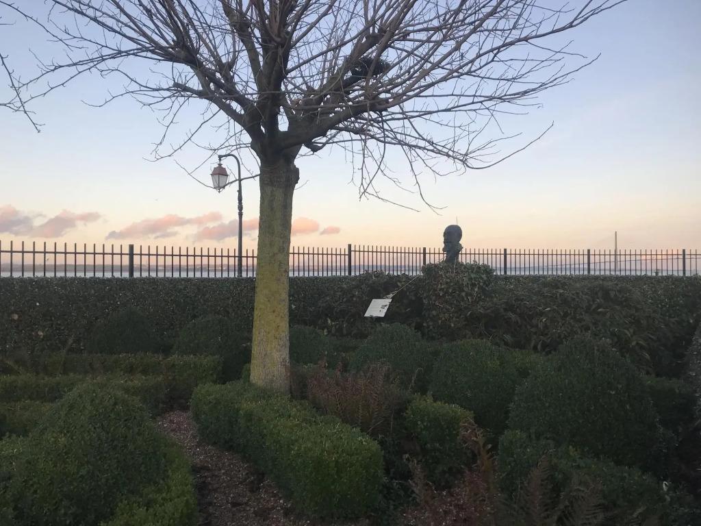 hotel image 41