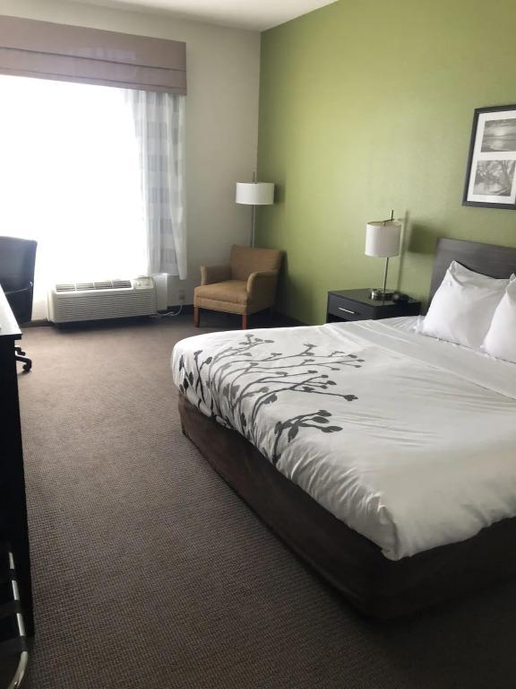 hotel image 34