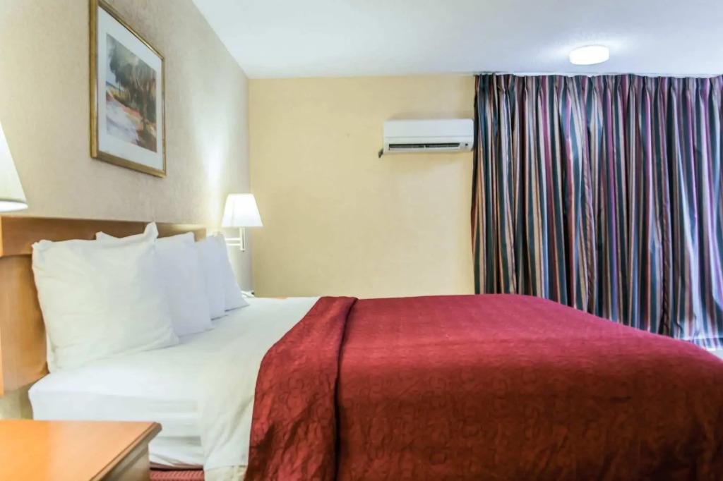 hotel image 21