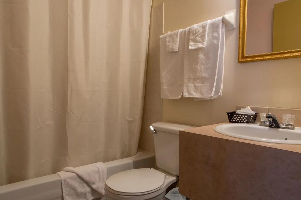 hotel image 20