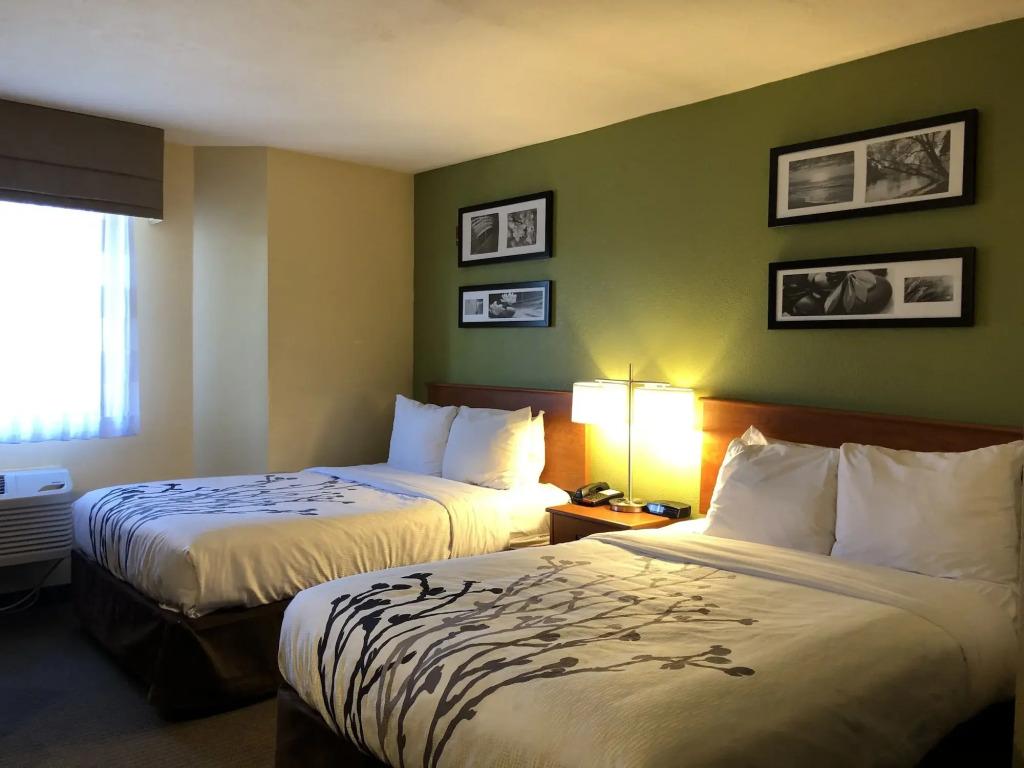 hotel image 19