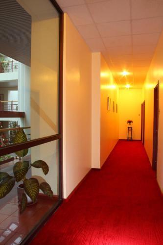 hotel image 21