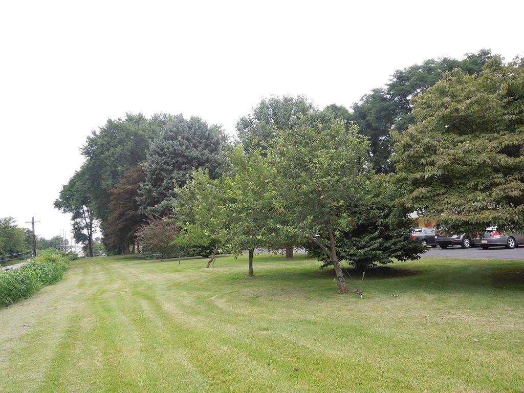 hotel image 20