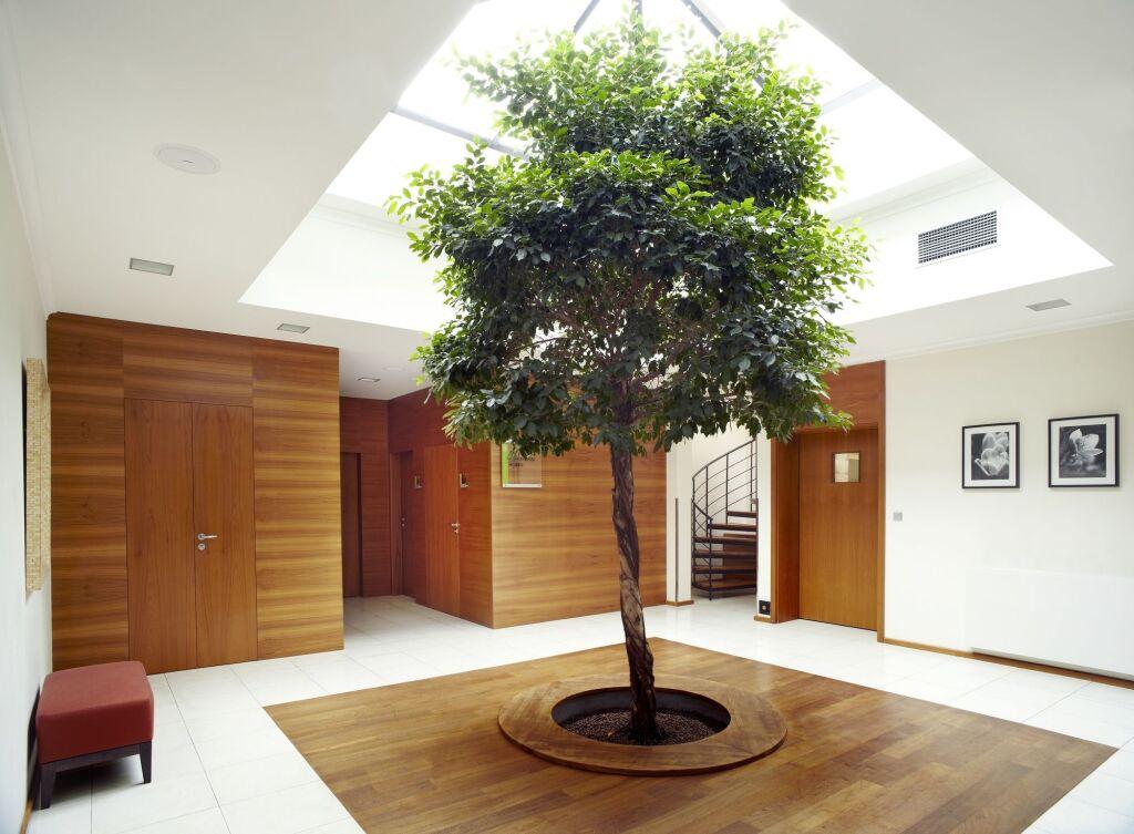 hotel image 24