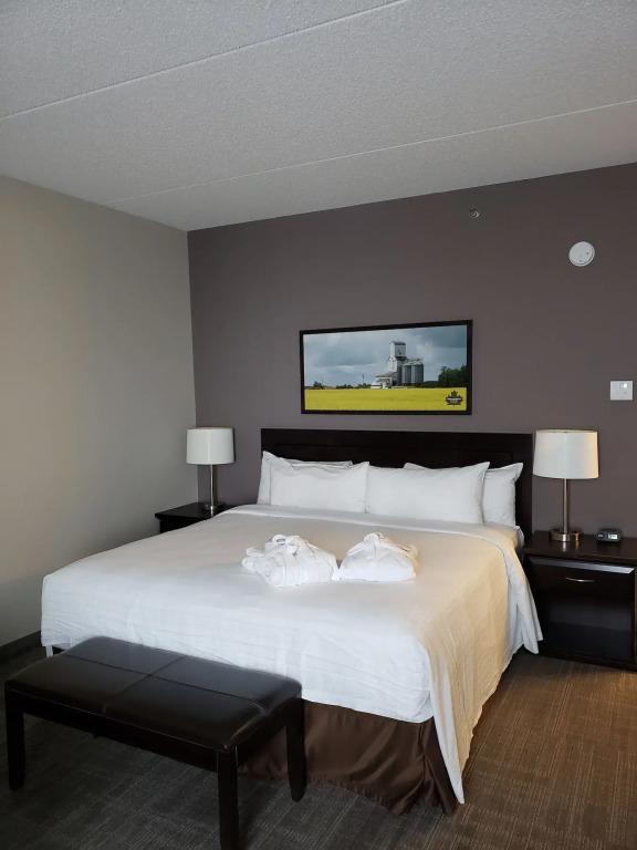 hotel image 8