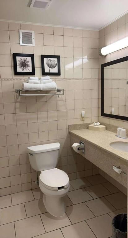 hotel image 21