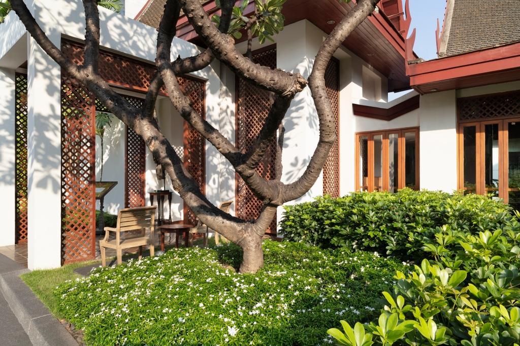 hotel image 21