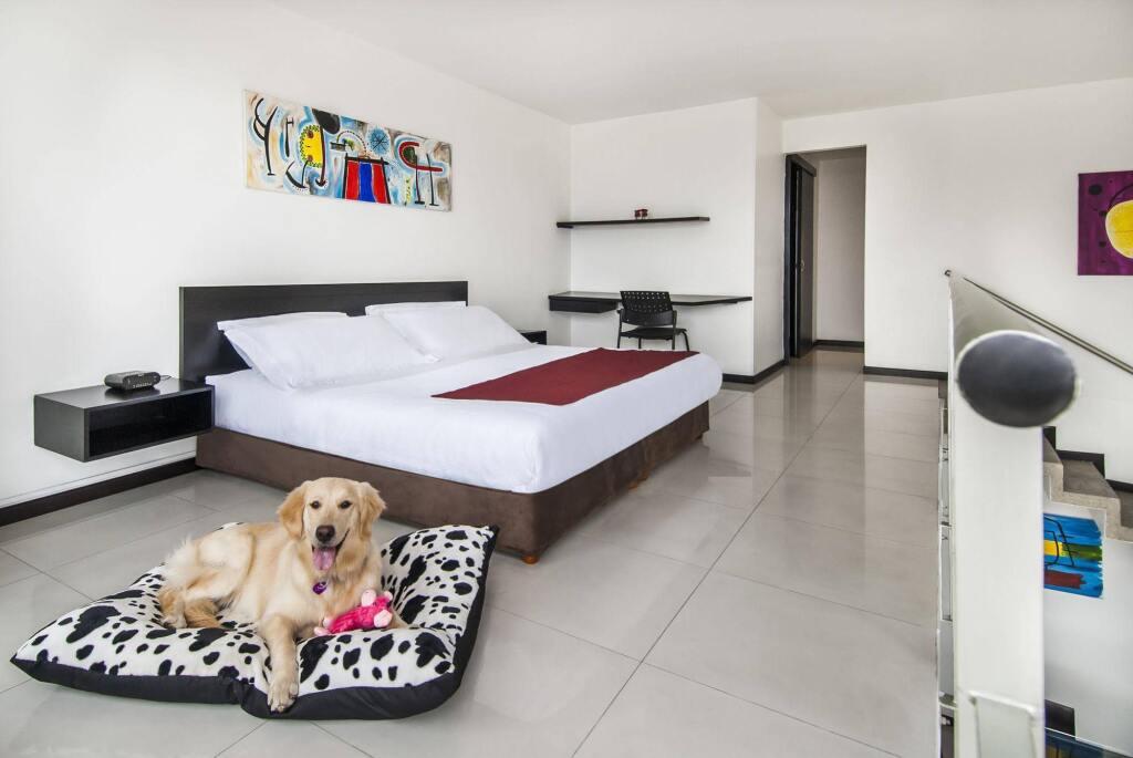 hotel image 35