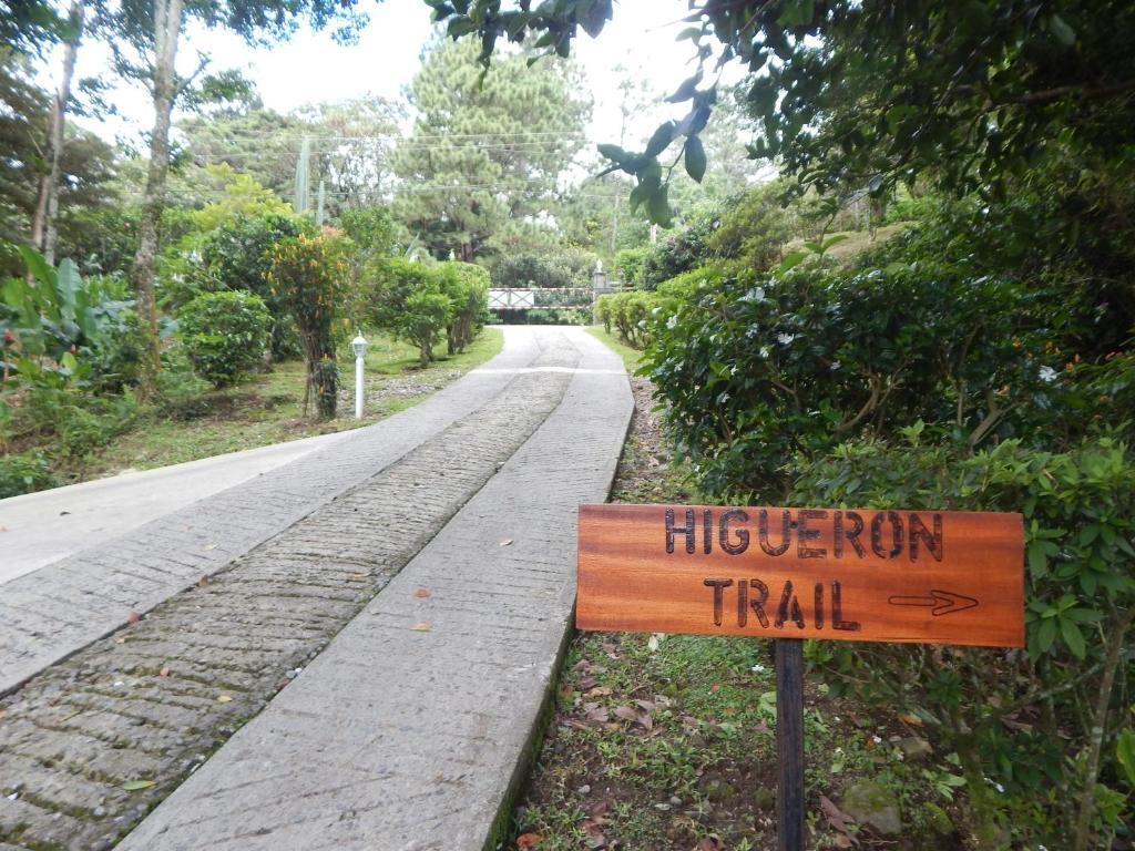 hotel image 31