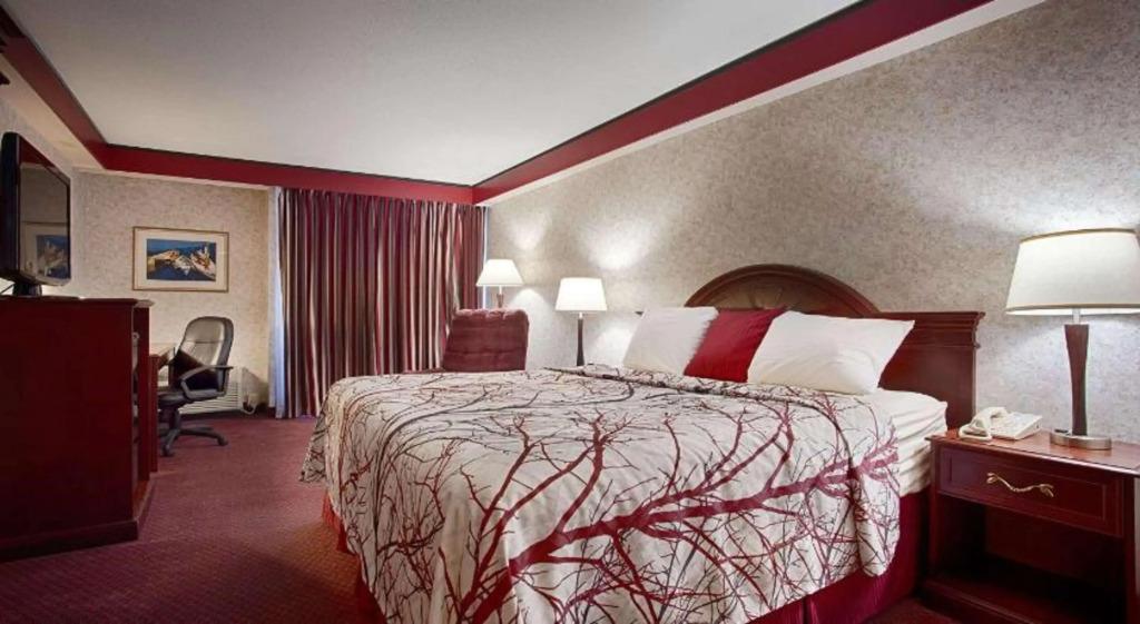 hotel image 42