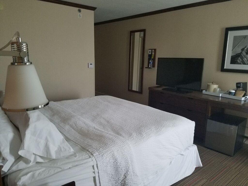 hotel image 8