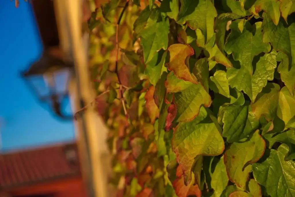 hotel image 22