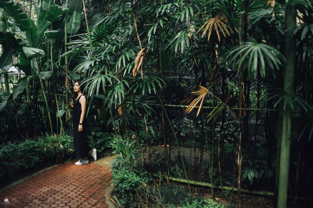 hotel image 49