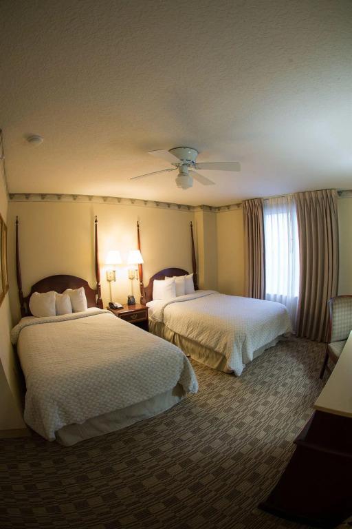 hotel image 24
