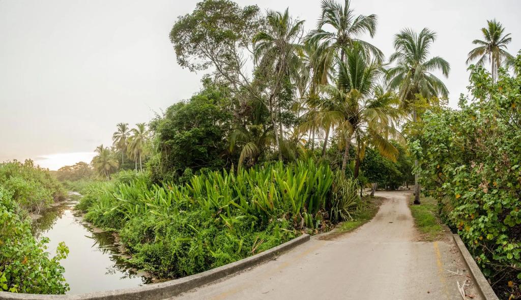 hotel image 30