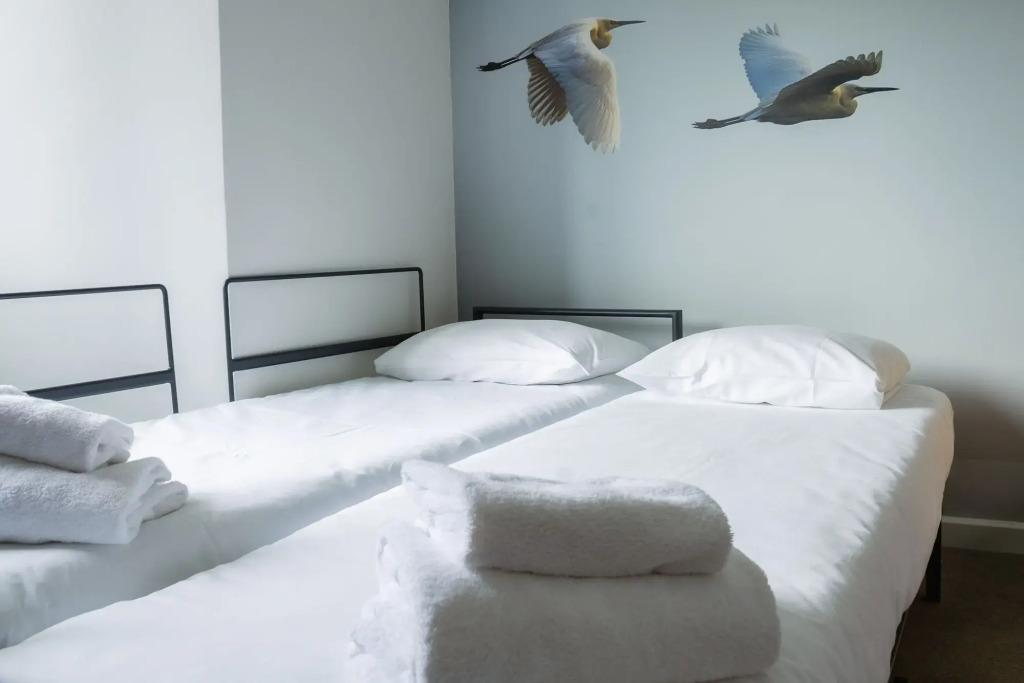 hotel image 47