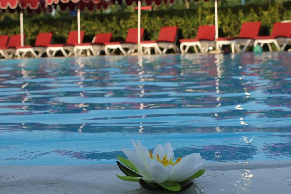 hotel image 25