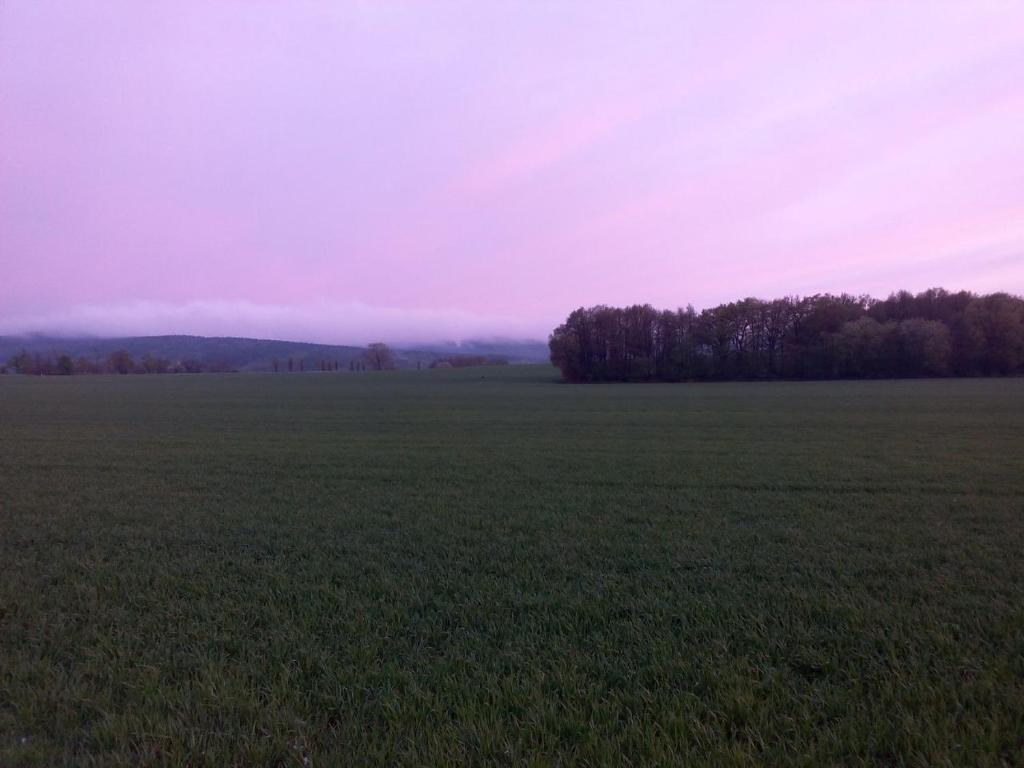 hotel image 24