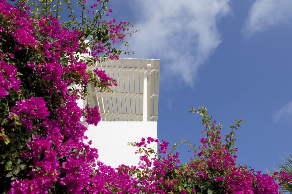 hotel image 22